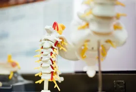 Anatomical spine model used to plan surgical treatment